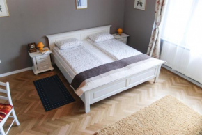 Гостиница Apartment House Timisoara  Тимишуаре